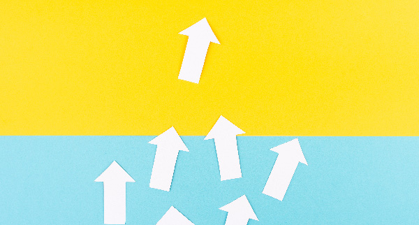 Essentialist vs. Non-Essentialist