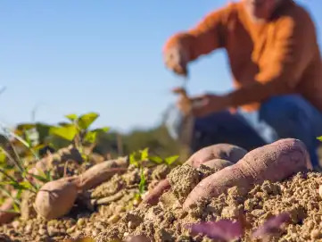 farming
