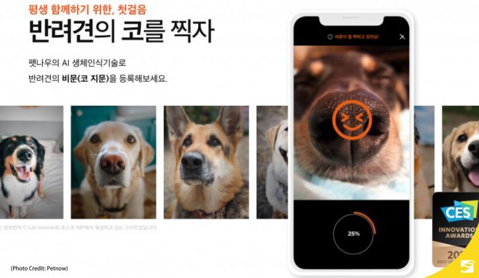Petnow