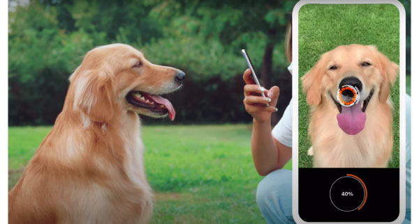 Petnow app