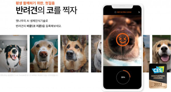 Petnow